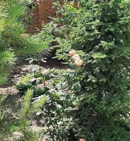 звёздный Maison d'hôtes