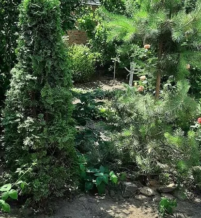 звёздный 3* Odessa
