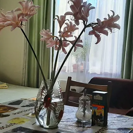 Maison d'hôtes звёздный 3*