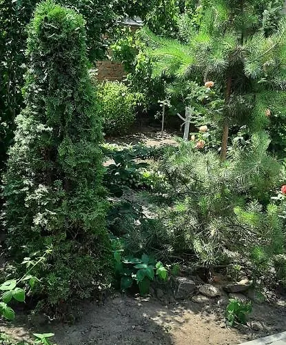 звёздный 3* Odesa