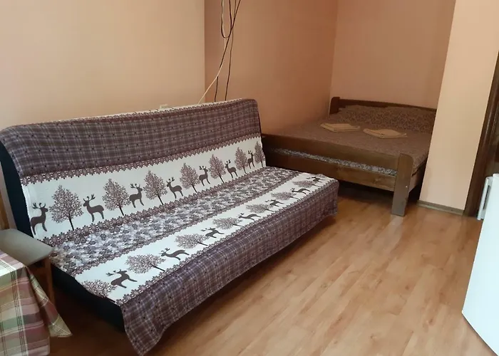 Pensjonat звёздный 3*