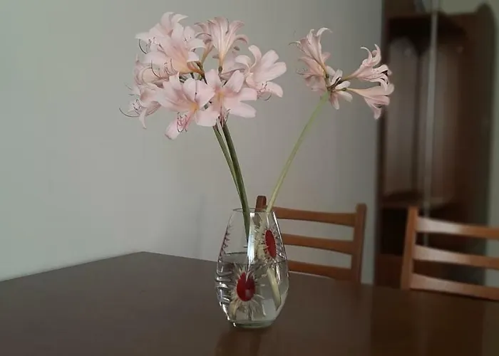 Pensjonat звёздный