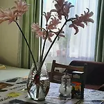 Penzion звёздный 3*