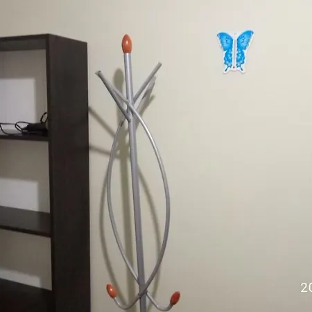 게스트하우스 звёздный *