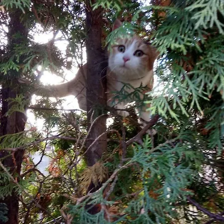 звёздный 게스트하우스 오데사