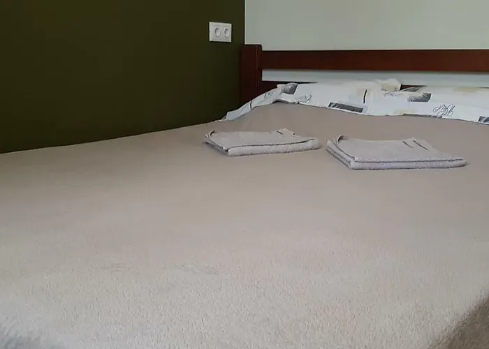 звёздный 敖德萨