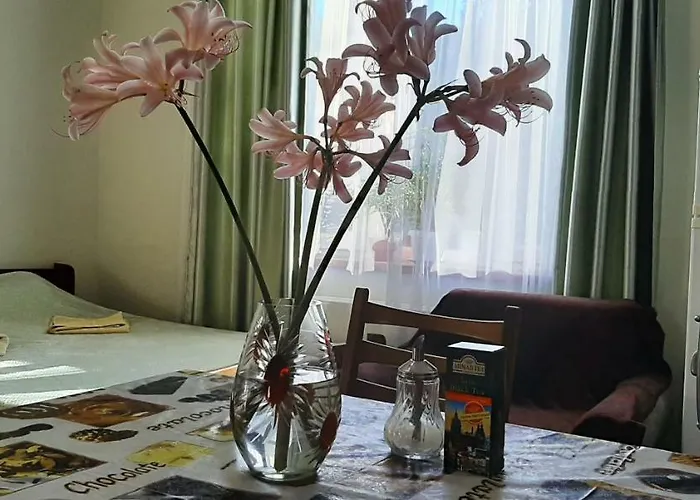 招待所 звёздный 3*