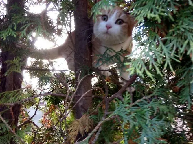 звёздный 招待所 敖德萨