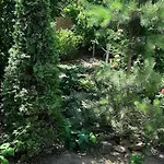 звёздный 3* Odesa